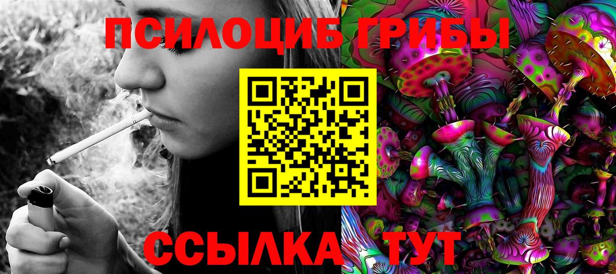 Псилоцибиновые грибы мицелий Екатеринбург