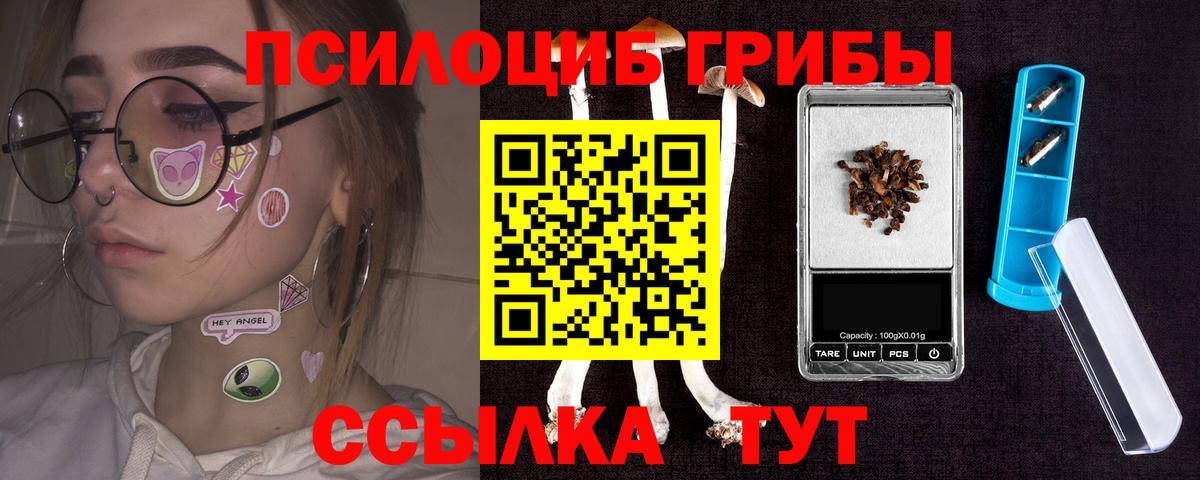 Екатеринбург  Псилоцибиновые грибы Cubensis  где найти   Псилоцибиновые грибы GOLDEN TEACHER  Вход с VPN 